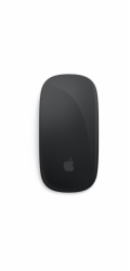 APPLE Magic Mouse - Black Multi-Touch Surface