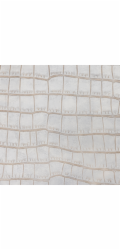 Stolní podložka Domoletti Crocodile KSKHLG-0146, 45 x 30 cm