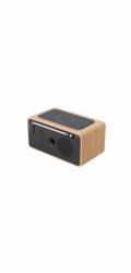 CARNEO W20D DAB, FM radio, wireless charging