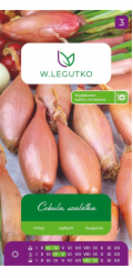 Semínka, cibule ZEBRUNE, 3 g