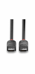 Kabel DisplayPort 1.2 Black Line, samec > samec