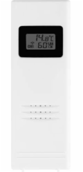 ECG MS 1200
