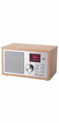 GoGEN DAB 620 BTCS, hnědý/stříbrný