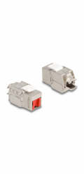 Delock - Modul keystone - RJ-45 (F) do LSA (F) úhel - STP - CAT 6a - bílá, stríbrná, cervená