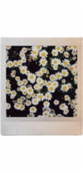 Fujifilm Film Instax Square Sunset 10 List