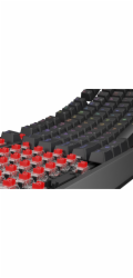 Genesis herní klávesnice THOR 230/TKL/RGB/Outemu Red/Drátová USB/US layout/Černá