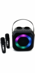 Soundmaster BT2024SW/ 5W/ BT/ Disco light/ USB-C/ 2x BT mikrofony