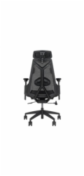 Asus ROG Destrier Core Gaming-Stuhl black (schwarz, mobile Gaming-Armstützmodus)