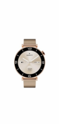 Garett ROSE Gold Mesh Steel