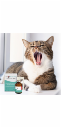 JM SANTE Vet Protector Ústní dutina sprej – tekutina do ústní dutiny pro psy a kočky - 30 ml