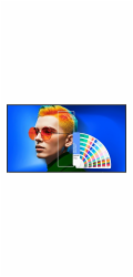 BENQ SL4304, LED Panel 43"