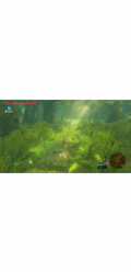 Legend of Zelda: Breath of the Wild (Nintendo Switch 2 Edition)