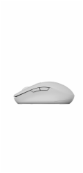 CANYON mouse MW-12 Dual band Wireless Beige