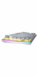 Hator Klávesnice Gravity TKL RGB Aurum Orange (HTK561)
