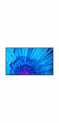 Sharp PN-M322 - 32" Trída úhloprícky M-Series displej LCD s LED podsvícením - digital signage - s vestavený prehrávac médií SoC - 1080p 1920 x 1080 - HDR - prímé LED podsvícení