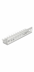 Delock - Keystone adaptér - kov - montáž na kolejnici DIN, montáž na stenu - 12 portu