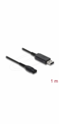 Delock - Elektrický kabel - USB (M) do 2 piny (M) - 4.3 V - 70 mA - 1 m - cerná