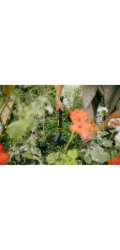 FISKARS Lopata OneClick 1080693, 273 mm, bez rukojeti