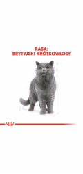 ROYAL CANIN FBN British Shorthair Adult suché krmivo pro kočky - 10 kg