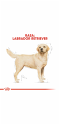 ROYAL CANIN Labrador Adult - suché krmivo pro psy - 12 kg