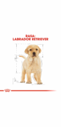 ROYAL CANIN SHN Breed Labrador Junior suché krmivo pro psy - 12 kg