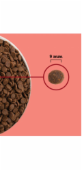 ACANA Highest Protein Indoor Cat - suché krmivo pro kočky - 1,8kg