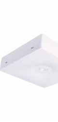 Intelight Nouzové svítidlo s očkem N/T Starlet QUAD LED SO 150 SA 3H MT IP20 INLEWA 92814