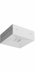 AWEX Nouzové svítidlo LOVATO N ECO LED 1W 125lm (volitelně otevřené) 1h jednoúčelové bílé LVNO/1W/ESE/X/WH - LVNO/1W/ESE/X/WH