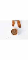 NATURE S PROTECTION Superior Care Red Coat Adult Small breed Grain free Salmon - suché krmivo pro psy - 1,5kg