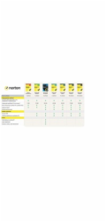 NORTON ANTIVIRUS PLUS 2GB CZ 1 uživatel pro 1 zařízení na 1 rok ESD