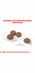 ROYAL CANIN CCN Mini Digestive Care - suché krmivo pro psy - 3 kg