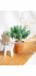 Dekorácia MagicHome Vianoce, vetvičky v črepníku, zasnežená, 20 cm