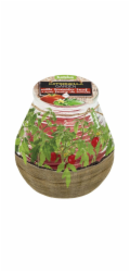 Bolsius Teracce Citronella svíčka, repelent, 94/91 mm, rajče