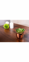 Sukulent MagicHome S34042, 15 cm, květináč- cement, zlatý, umělý