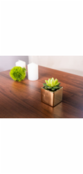 Sukulent MagicHome SA3905, 15 cm, květináč- keramika, zlatý, umělý