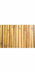 Plot Bamboo BSF 1000 mm, L-5 m, dělený