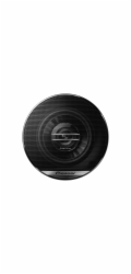 Pioneer TS-G1020F