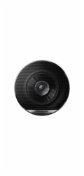 Pioneer TS-G1010F