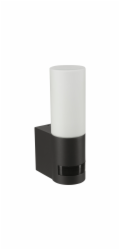 Steinel L605 ANT  Outdoor Light