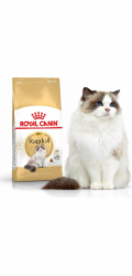 Royal Canin Ragdol Adult suché krmivo pro dospělé kočky ragdoll 2 kg