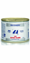 ROYAL CANIN Recovery Wet dog and cat fo