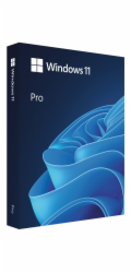 Windows Pro 11 64-bit Eng USB