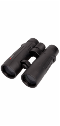 Braun Compagno           8x50 WP