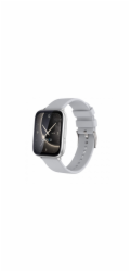 CARNEO Artemis HR+ silver