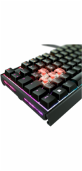 Cherry XTRFY MX 3.1 (černá, DE layout, Cherry MX2A Red)