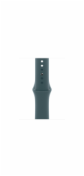 Apple Watch 42mm Lake Green Sport Band - M/L