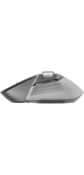 Rapoo MT760M  grey/white