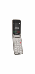 Gigaset GL595  silver