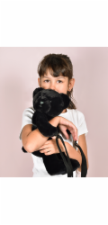 Doudou Plyšová taška přes rameno Medvídek černý 30 cm