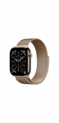 Apple Watch S11 Cell/46/Elegant Band/Gold